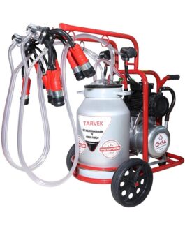 Двойного доильная система