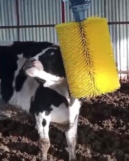 Автоматическая Щетка для коров